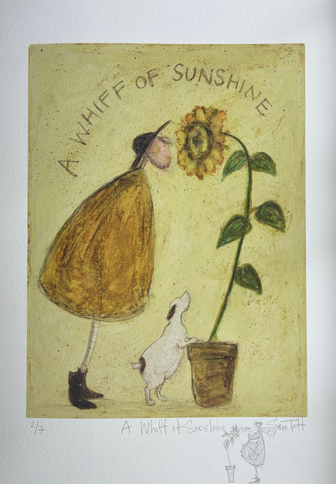 A Whiff of Sunshine - Remarqued Edition
