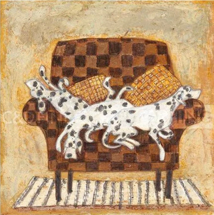 Snuggle Seat