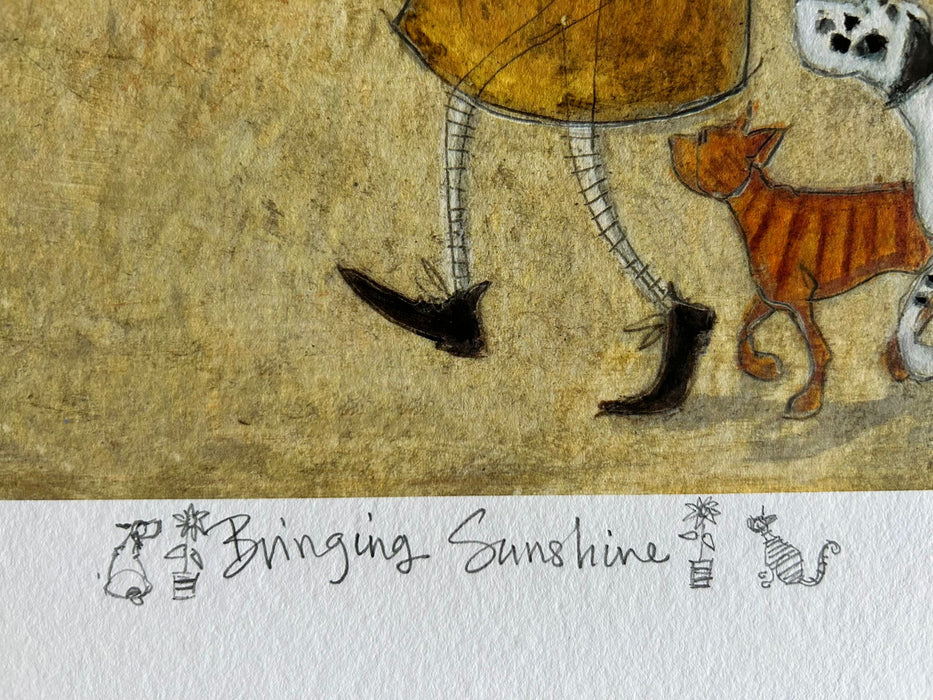 Bringing Sunshine
