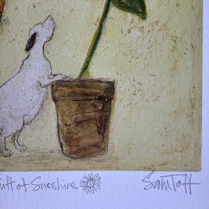 A Whiff of Sunshine - Remarqued Edition
