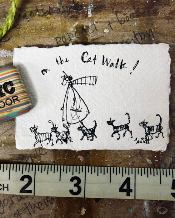 On the Cat Walk!