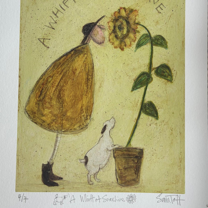 A Whiff of Sunshine - Remarqued Edition