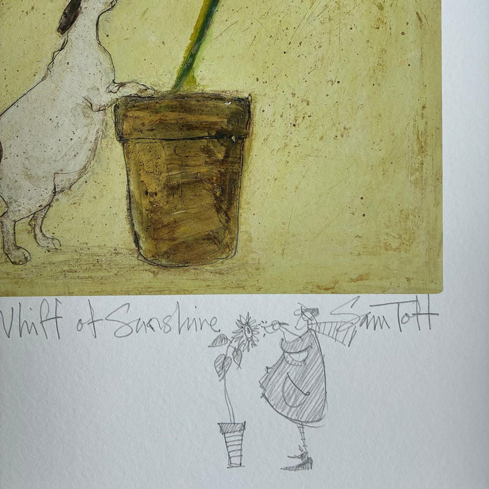 A Whiff of Sunshine - Remarqued Edition
