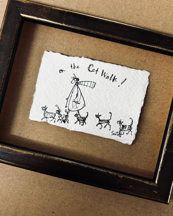 On the Cat Walk!